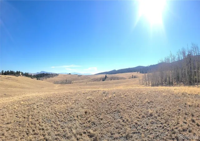 21st image of 8802 Ranch Rd, Hartsel, CO 80449 | MLS# 7730999