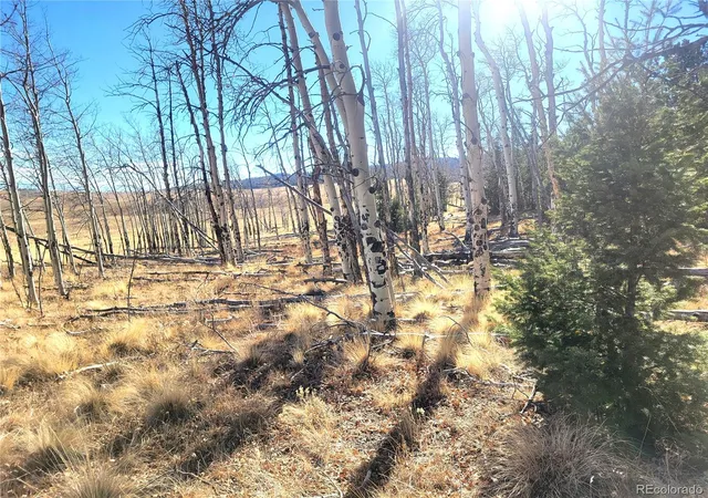 3rd image of 8802 Ranch Rd, Hartsel, CO 80449 | MLS# 7730999