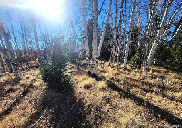 4th image of 8802 Ranch Rd, Hartsel, CO 80449 | MLS# 7730999