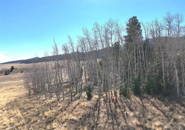 5th image of 8802 Ranch Rd, Hartsel, CO 80449 | MLS# 7730999