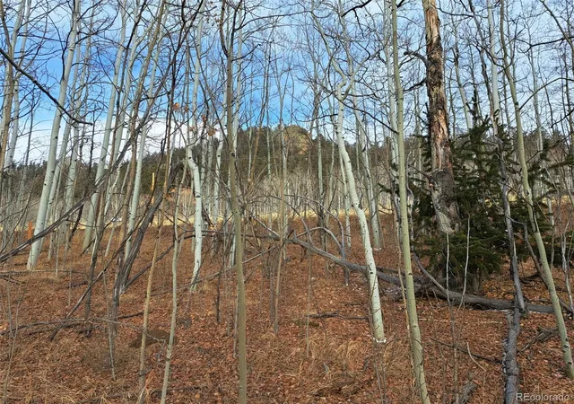 Photo 4 of Land for sale at 503 Sugar Loaf Ln, Jefferson, CO 80456 | MLS# 8720111 | Listing updated on 2026-08-04