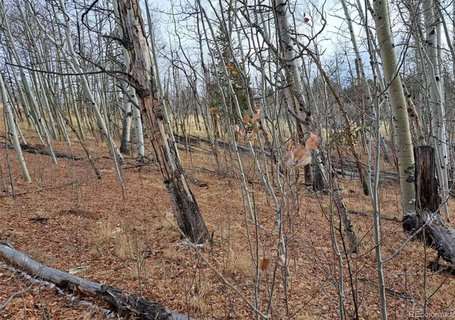 Photo 5 of Land for sale at 503 Sugar Loaf Ln, Jefferson, CO 80456 | MLS# 8720111 | Listing updated on 2026-08-04