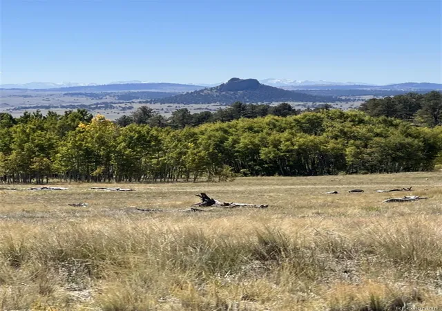 Photo 2 of Land for sale at 503 Sugar Loaf Ln, Jefferson, CO 80456 | MLS# 8720111 | Listing updated on 2026-08-04