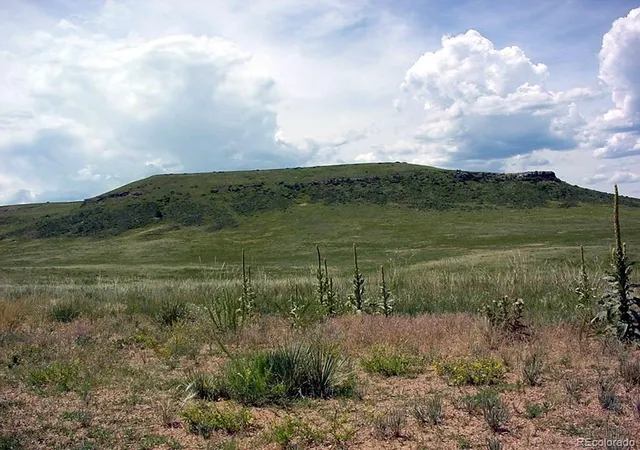 Homes for sale in Larkspur, CO | Lot 7 Twin Buffs Road, Larkspur, CO 80118 | MLS# 4788660