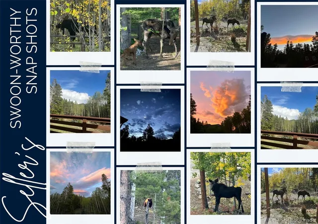 5th image of 591 Creekwood Trl, Black Hawk, CO 80422 | MLS# 2976694