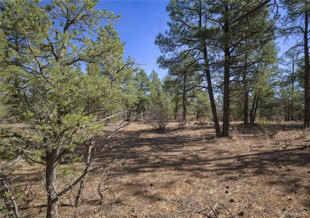 2nd image of Rancho La Garita Lot 1129, Weston, CO 81091 | MLS# 6489379