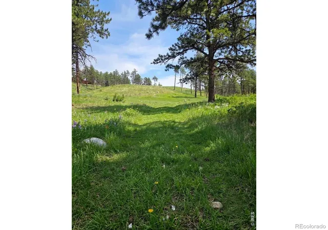 4th image of 620 Davis Ranch Rd, Bellvue, CO 80512 | MLS# IR1052349
