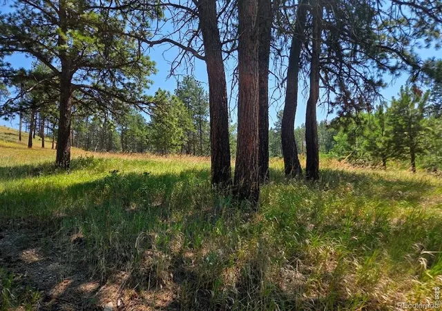 5th image of 620 Davis Ranch Rd, Bellvue, CO 80512 | MLS# IR1052349