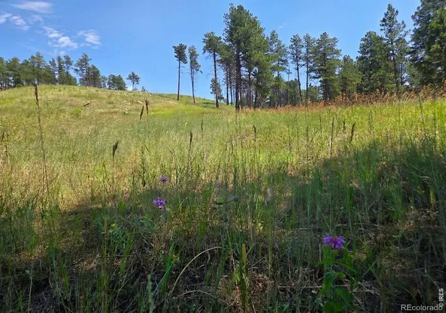 8th image of 620 Davis Ranch Rd, Bellvue, CO 80512 | MLS# IR1052349