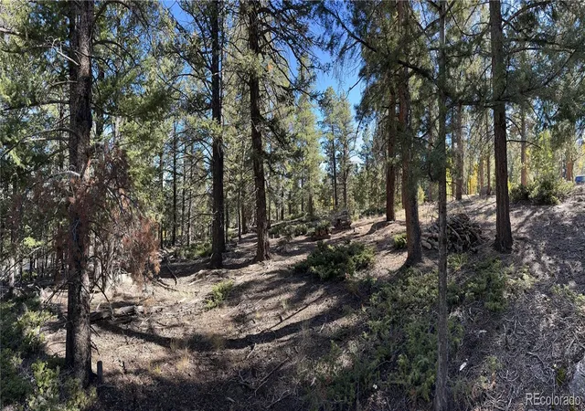 Homes for sale in Buena Vista, CO | Aspen Turn, Buena Vista, CO 81211 | MLS# 1872856