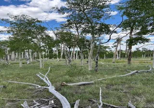 Photo 1 of Land for sale at 807 Bolster Dr, Hartsel, CO 80449 | MLS# 7154738 | Listing updated on 2026-07-29