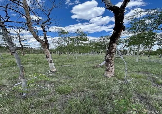 Photo 1 of Land for sale at 807 Bolster Dr, Hartsel, CO 80449 | MLS# 7154738 | Listing updated on 2026-07-29