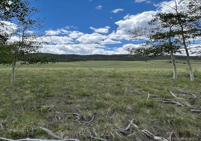 Photo 2 of Land for sale at 807 Bolster Dr, Hartsel, CO 80449 | MLS# 7154738 | Listing updated on 2026-07-29