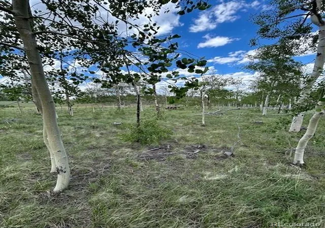 Photo 3 of Land for sale at 807 Bolster Dr, Hartsel, CO 80449 | MLS# 7154738 | Listing updated on 2026-07-29