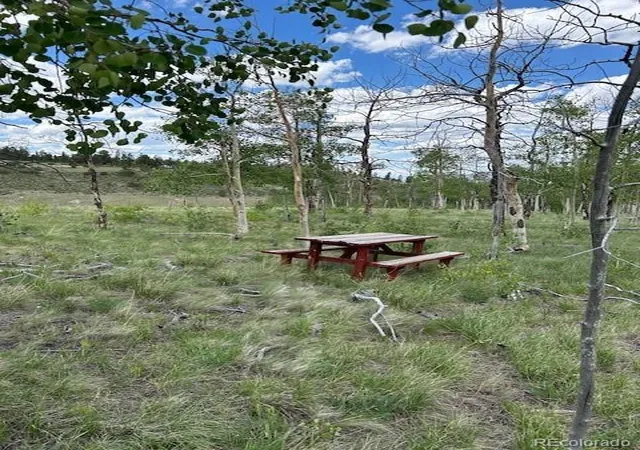 Photo 4 of Land for sale at 807 Bolster Dr, Hartsel, CO 80449 | MLS# 7154738 | Listing updated on 2026-07-29