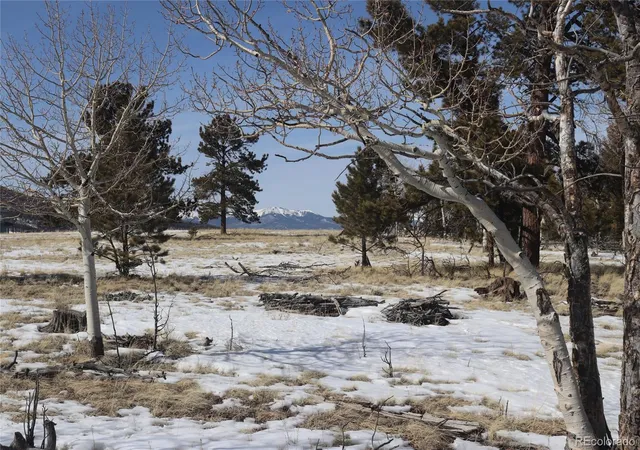 Photo 1 of Land for sale at 96 Baler Ct, Hartsel, CO 80449 | MLS# 4862356 | Listing updated on 2026-07-29