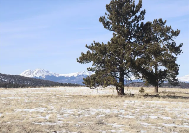 Photo 1 of Land for sale at 96 Baler Ct, Hartsel, CO 80449 | MLS# 4862356 | Listing updated on 2026-07-29