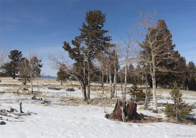 Photo 2 of Land for sale at 96 Baler Ct, Hartsel, CO 80449 | MLS# 4862356 | Listing updated on 2026-07-29