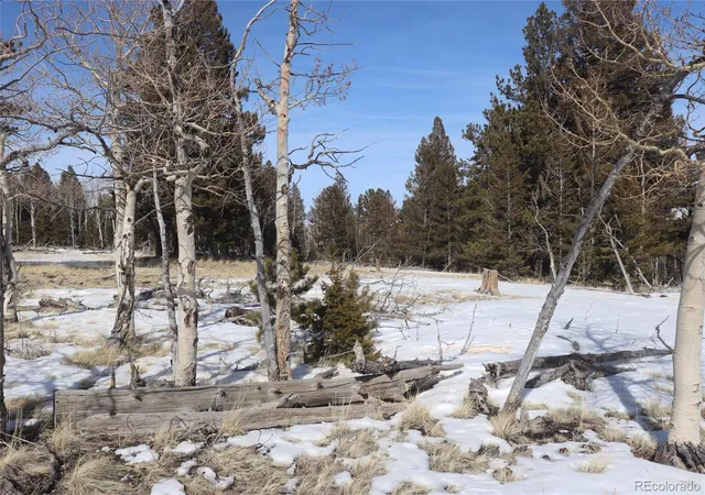 Photo 4 of Land for sale at 96 Baler Ct, Hartsel, CO 80449 | MLS# 4862356 | Listing updated on 2026-07-29