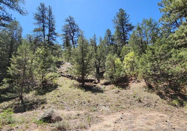 3rd image of 102 Kevin Dr, Cotopaxi, CO 81223 | MLS# 5784888