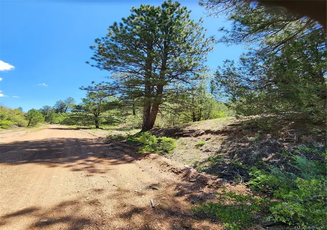 4th image of 102 Kevin Dr, Cotopaxi, CO 81223 | MLS# 5784888