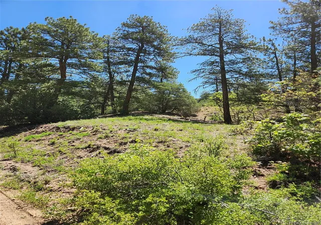 5th image of 102 Kevin Dr, Cotopaxi, CO 81223 | MLS# 5784888