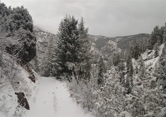 Photo 3 of Land for sale at 0 Ohio Gulch Trl, Dumont, CO 80436 | MLS# 9569699 | Listing updated on 2026-04-29