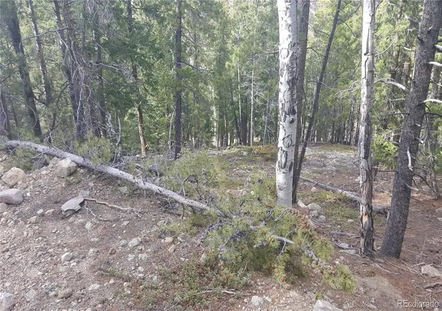 Photo 3 of Land for sale at 0 Ohio Gulch Trl, Dumont, CO 80436 | MLS# 9569699 | Listing updated on 2026-04-29