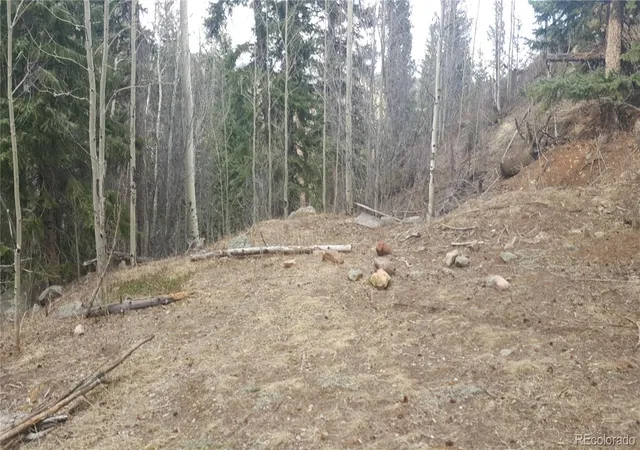 Photo 4 of Land for sale at 0 Ohio Gulch Trl, Dumont, CO 80436 | MLS# 9569699 | Listing updated on 2026-04-29