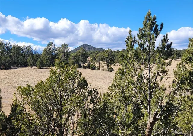 4th image of 311 Kit Carson Trl, Cotopaxi, CO 81223 | MLS# 2807415