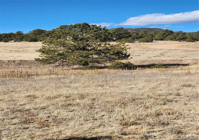 5th image of 311 Kit Carson Trl, Cotopaxi, CO 81223 | MLS# 2807415