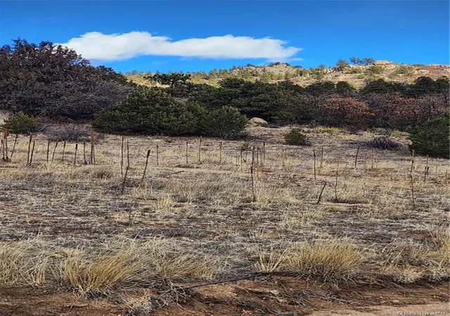 4th image of 47 White Cloud Dr, Cotopaxi, CO 81223 | MLS# 8397465
