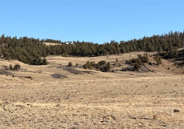 Photo 2 of Land for sale at Lots 21 & 24 Thrush Ln, Hartsel, CO 80449 | MLS# 6698274 | Listing updated on 2026-03-01