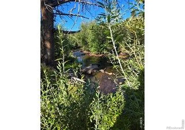 Homes for sale in Red Feather Lakes, CO | 534 Blackfoot Rd, Red Feather Lakes, CO 80545 | MLS# IR1052681