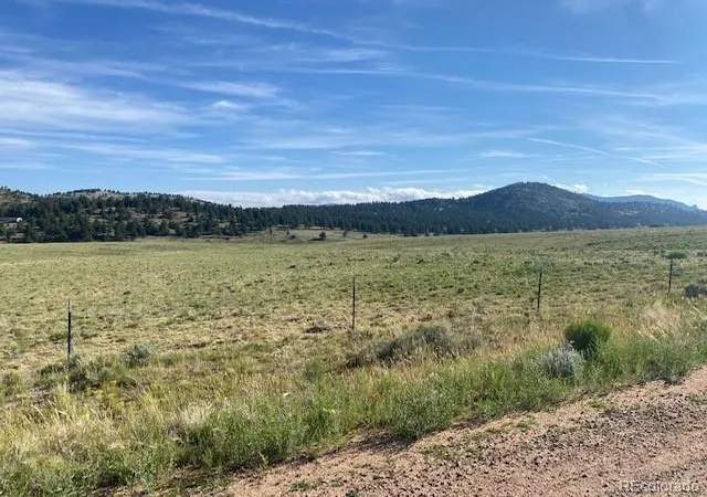 4th image of 690 Eagle Gate Rd, Westcliffe, CO 81252 | MLS# 7874452