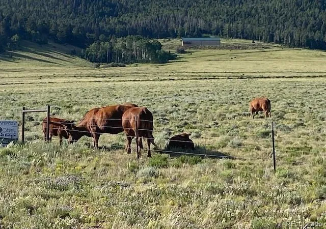 5th image of 690 Eagle Gate Rd, Westcliffe, CO 81252 | MLS# 7874452