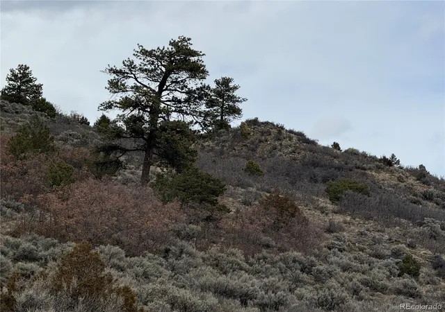 Photo 4 of Land for sale at Lot 129 Flavin Ln, Fort Garland, CO 81133 | MLS# 6986743 | Listing updated on 2026-08-27