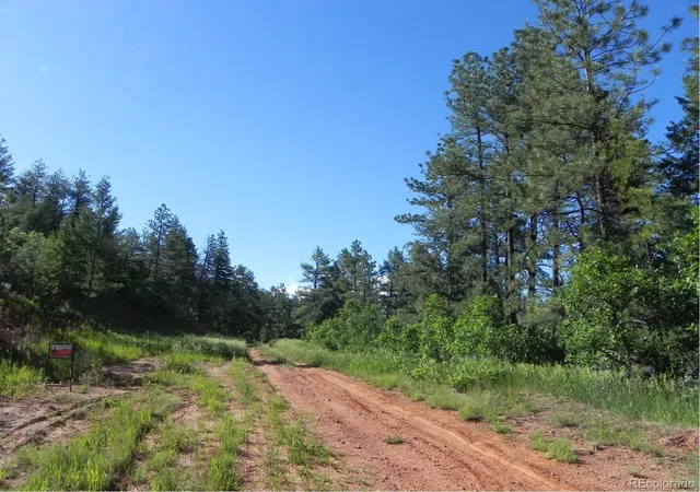 Homes for sale in Larkspur, CO | 8117 Acoma Dr, Larkspur, CO 80118 | MLS# 4591387