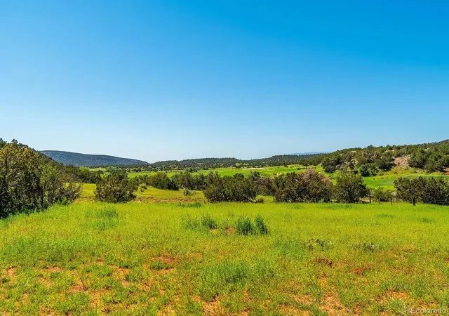 3rd image of Lot 10 Rice Mountain Way, Canon City, CO 81215 | MLS# 1928099