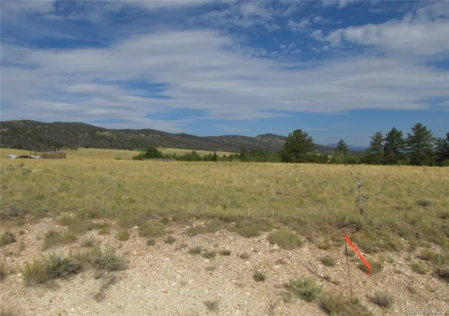 Homes for sale in Hartsel, CO | 1250 Bolster Dr, Hartsel, CO 80449 | MLS# 7951069