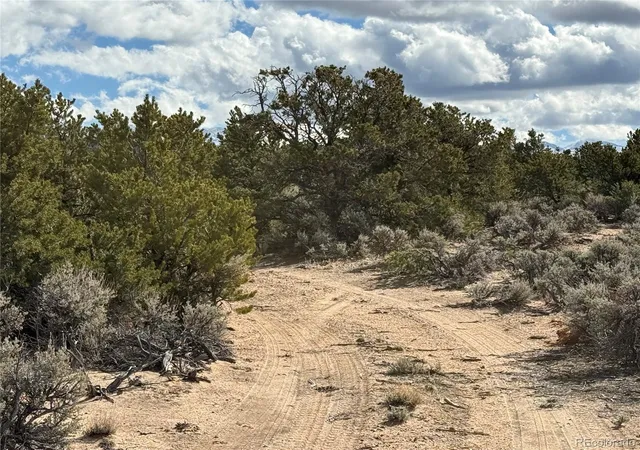 Homes for sale in Fort Garland, CO | 00 Vacant Land, Fort Garland, CO 81133 | MLS# 6599387