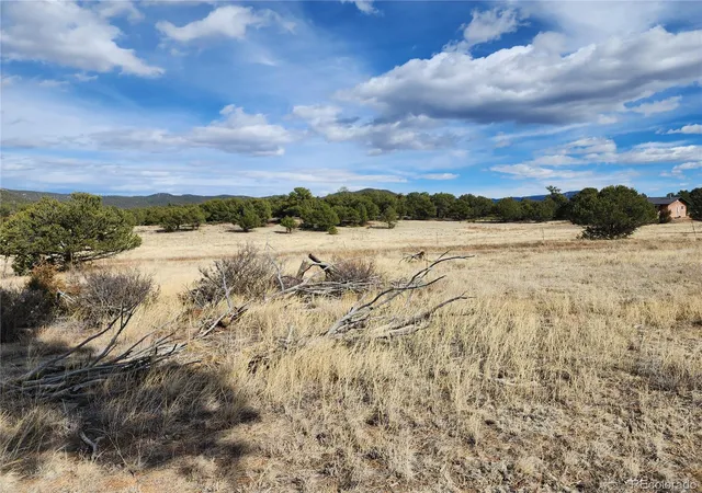 5th image of Pinon, Cotopaxi, CO 81223 | MLS# 5358221