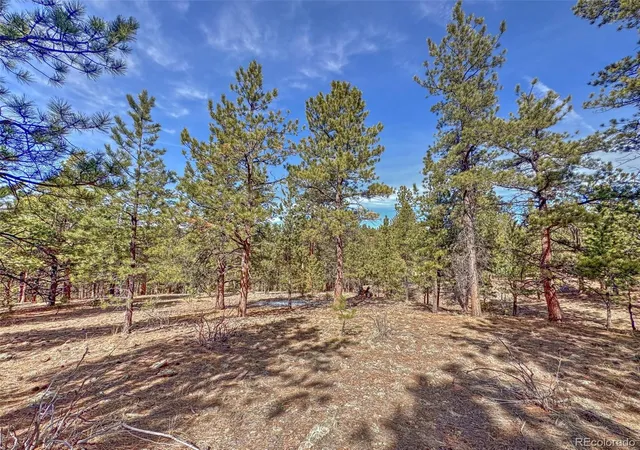 28th image of 426 Arapaho Rd, Westcliffe, CO 81252 | MLS# 8867998