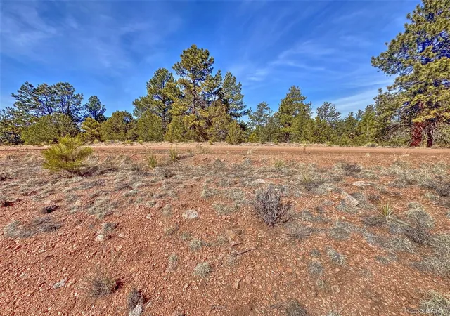 4th image of 426 Arapaho Rd, Westcliffe, CO 81252 | MLS# 8867998