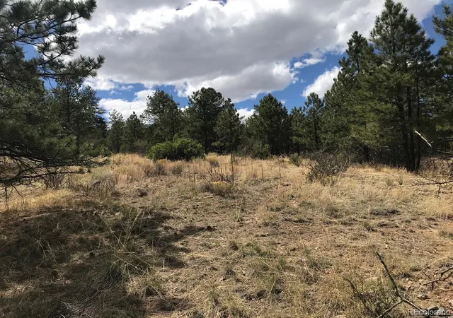 2nd image of 2871 Marcey Rd, Westcliffe, CO 81252 | MLS# 5340771