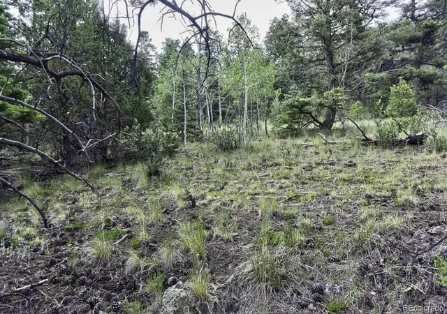 3rd image of 2871 Marcey Rd, Westcliffe, CO 81252 | MLS# 5340771
