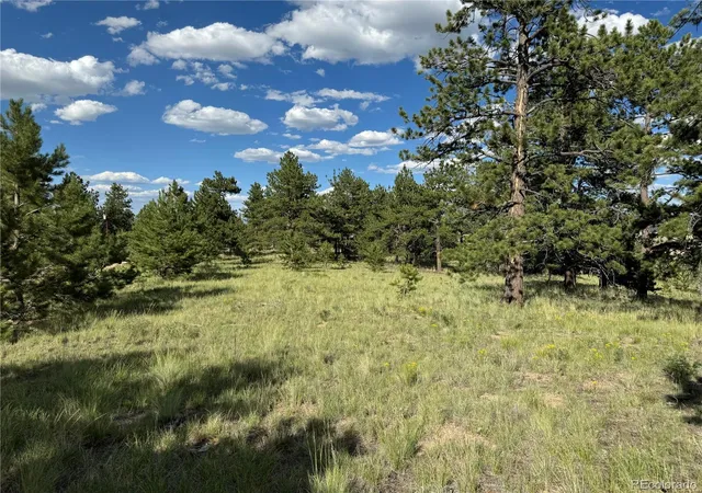 Photo 1 of Land for sale at 833 Angus Cir, Hartsel, CO 80449 | MLS# 2112541 | Listing updated on 2026-03-26