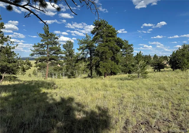 Photo 2 of Land for sale at 833 Angus Cir, Hartsel, CO 80449 | MLS# 2112541 | Listing updated on 2026-03-26