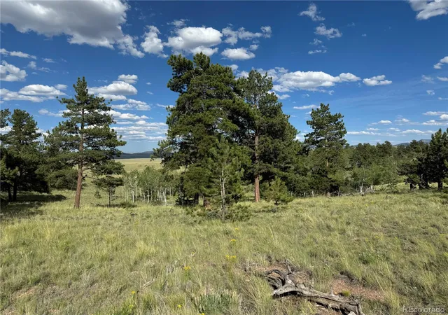Photo 3 of Land for sale at 833 Angus Cir, Hartsel, CO 80449 | MLS# 2112541 | Listing updated on 2026-03-26