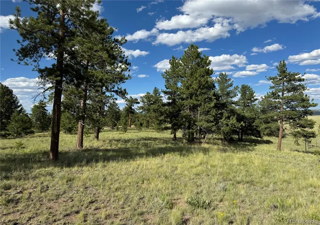 Photo 4 of Land for sale at 833 Angus Cir, Hartsel, CO 80449 | MLS# 2112541 | Listing updated on 2026-03-26